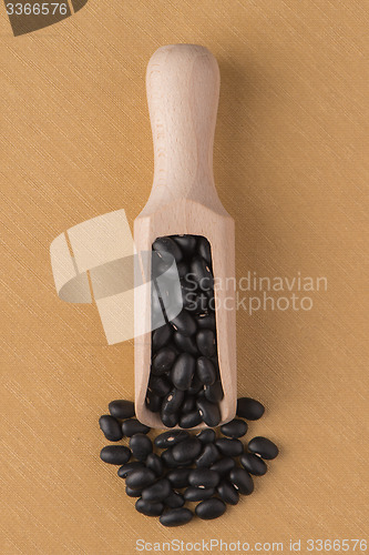 Image of Wooden scoop with black beans
