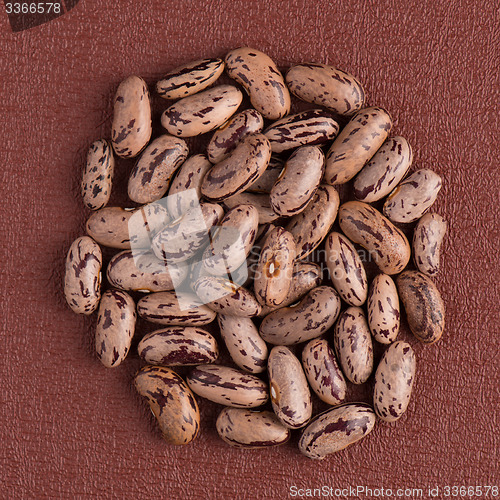 Image of Circle of pinto beans