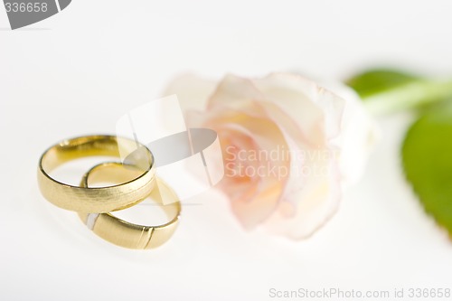 Image of Wedding bands with rose on a white background