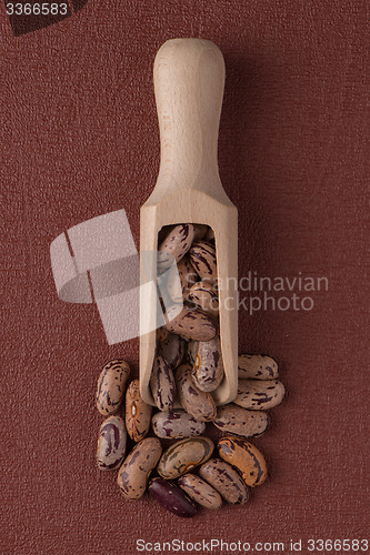 Image of Wooden scoop with pinto beans