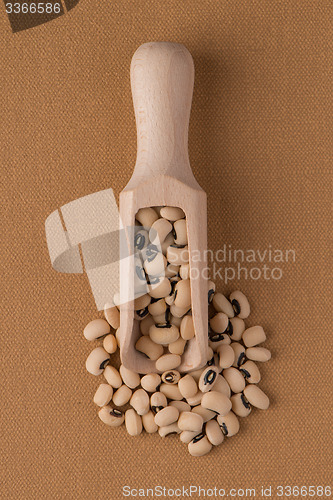 Image of Wooden scoop with white beans