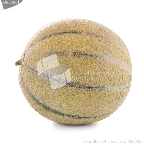 Image of Honeydew melon