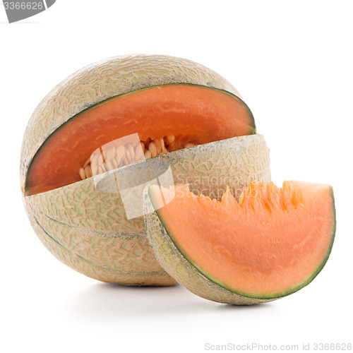 Image of Honeydew melon