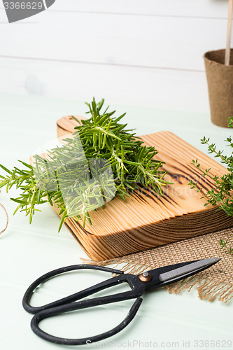 Image of Rosemary and thyme