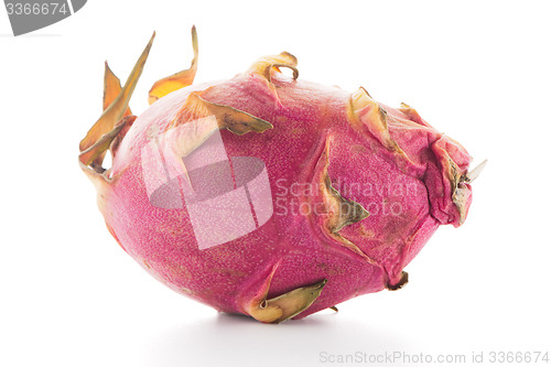 Image of Pitaya or Dragon Fruit 