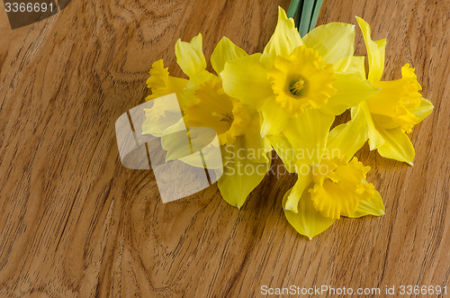 Image of Jonquil flowers