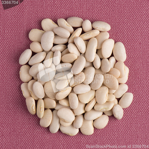 Image of Circle of white beans