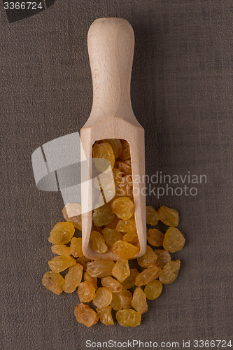 Image of Wooden scoop with golden raisins