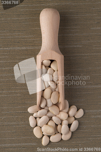 Image of Wooden scoop with white beans