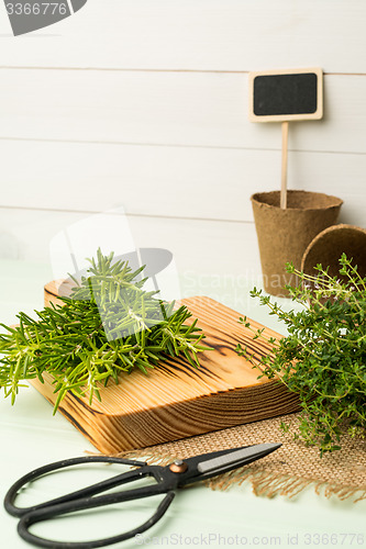 Image of Rosemary and thyme