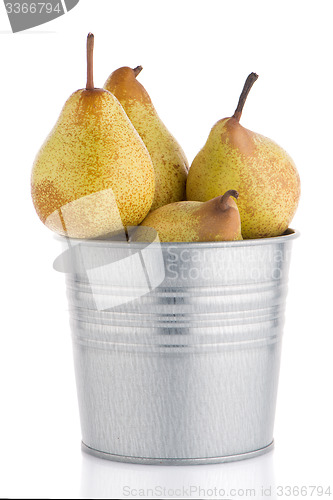 Image of Ripe pears on metal buket