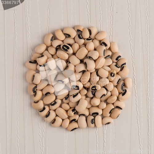 Image of Circle of white beans