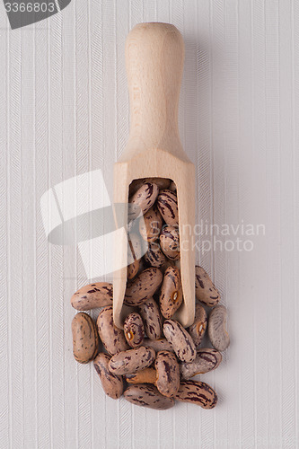 Image of Wooden scoop with pinto beans