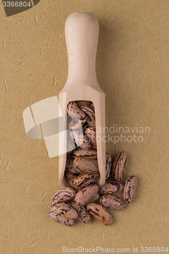 Image of Wooden scoop with pinto beans