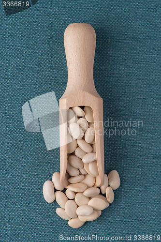 Image of Wooden scoop with white beans