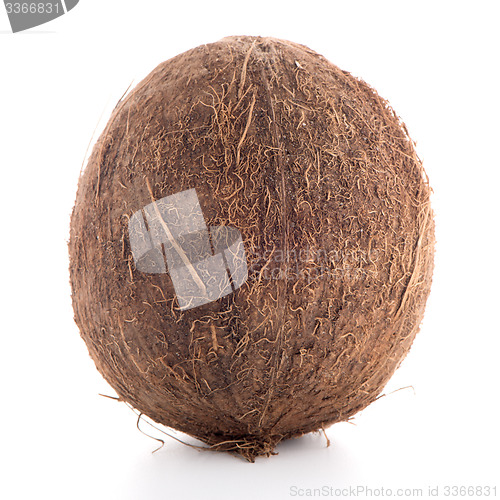 Image of Coconut