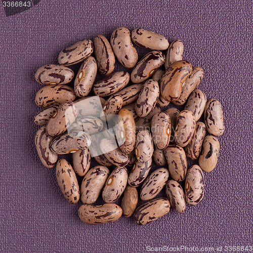 Image of Circle of pinto beans