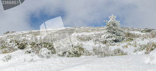 Image of Landscape of Serra da Estrela