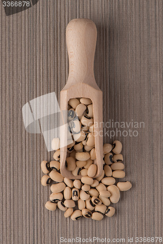 Image of Wooden scoop with white beans