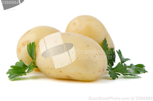 Image of New potatoes and green parsley