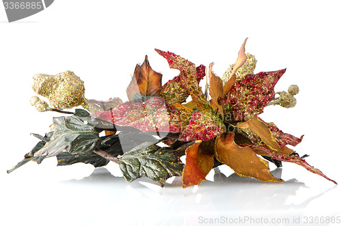 Image of Christmas decoration