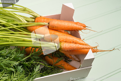 Image of Carrots on wooden table