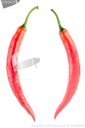 Image of Red chilli peppers