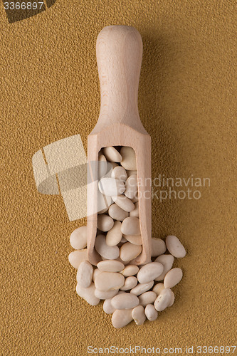 Image of Wooden scoop with white beans