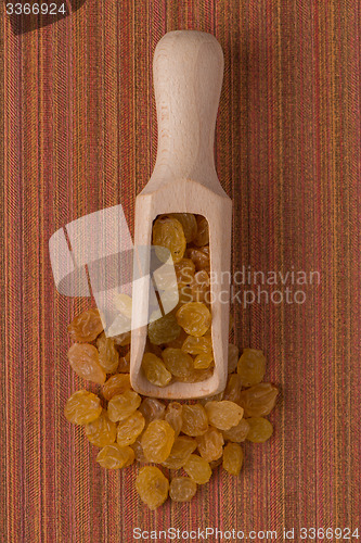 Image of Wooden scoop with golden raisins