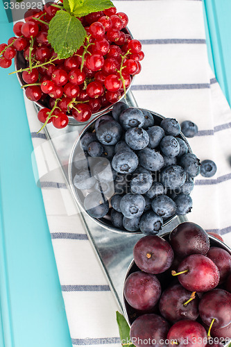 Image of Plums, red currants and blueberries in small metal bucket