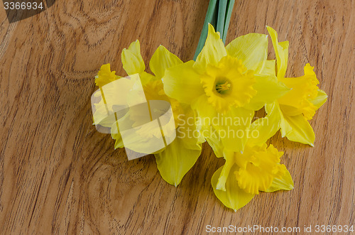 Image of Jonquil flowers