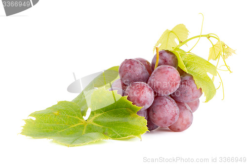 Image of Bunch of red grapes