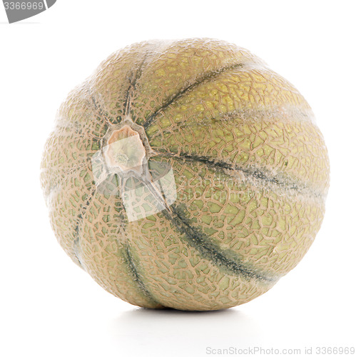 Image of Honeydew melon