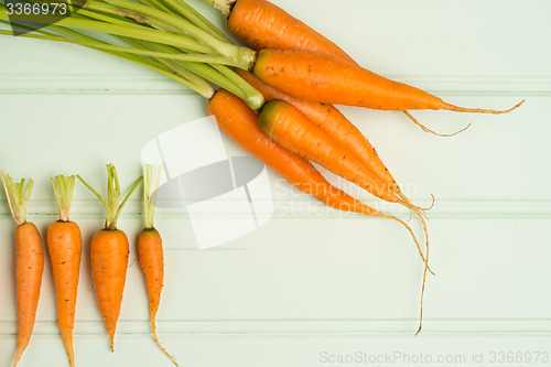 Image of Carrots on wooden table