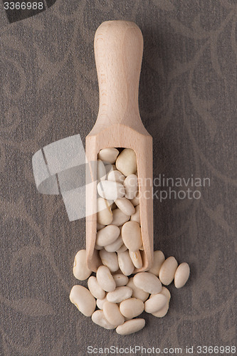 Image of Wooden scoop with white beans