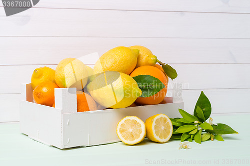 Image of Citrus fresh fruits