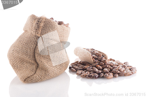 Image of Pinto beans bag