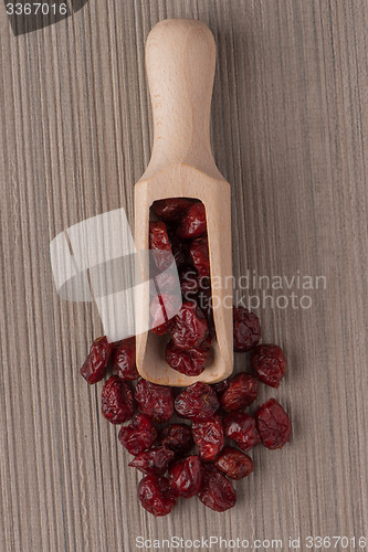 Image of Wooden scoop with dried cranberries