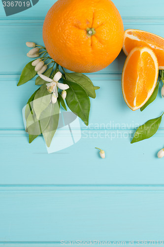 Image of Citrus fresh fruits