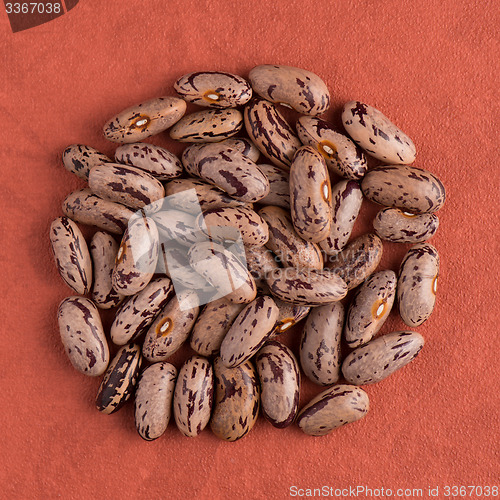 Image of Circle of pinto beans