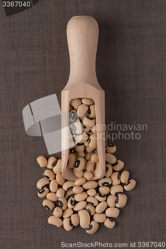 Image of Wooden scoop with white beans