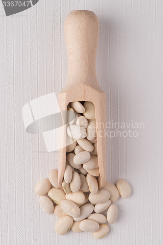 Image of Wooden scoop with white beans