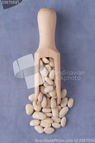 Image of Wooden scoop with white beans