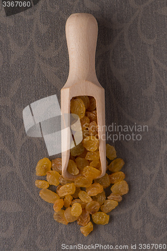 Image of Wooden scoop with golden raisins