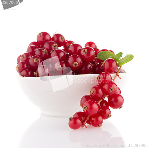 Image of Red Currants