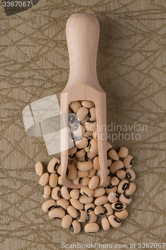 Image of Wooden scoop with white beans
