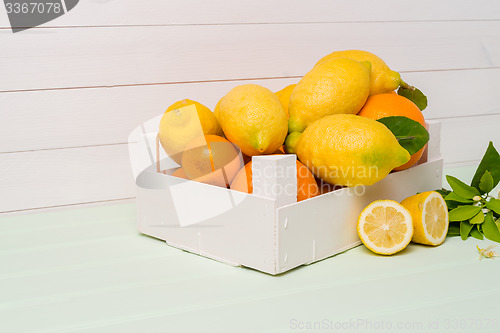 Image of Citrus fresh fruits