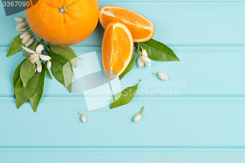 Image of Citrus fresh fruits