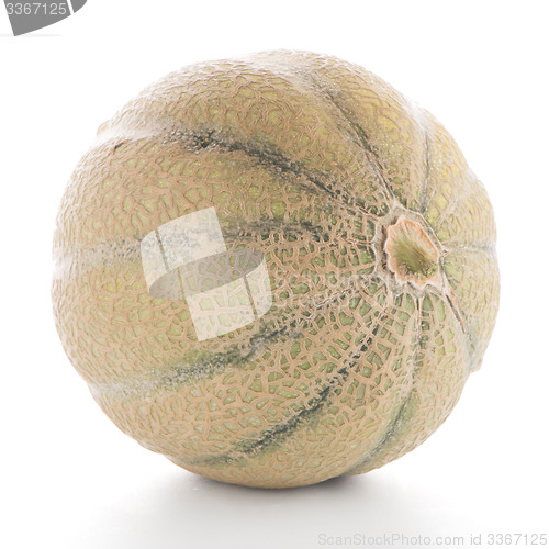 Image of Honeydew melon
