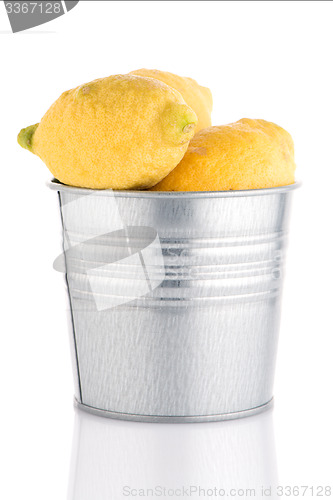 Image of Bucket with lemons